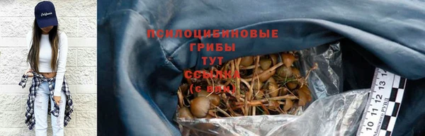молекула духа Алзамай