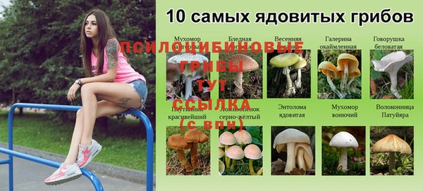 молекула духа Алзамай