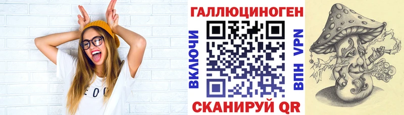 mega как войти  Сосновоборск  Галлюциногенные грибы Cubensis 